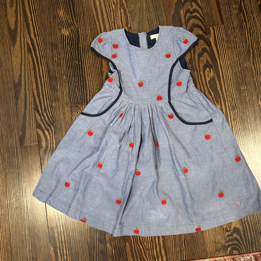 PINK CHICKEN CHAMBRAY EMBROIDERED APPLE GIANNA DRESS - Great Condition!!